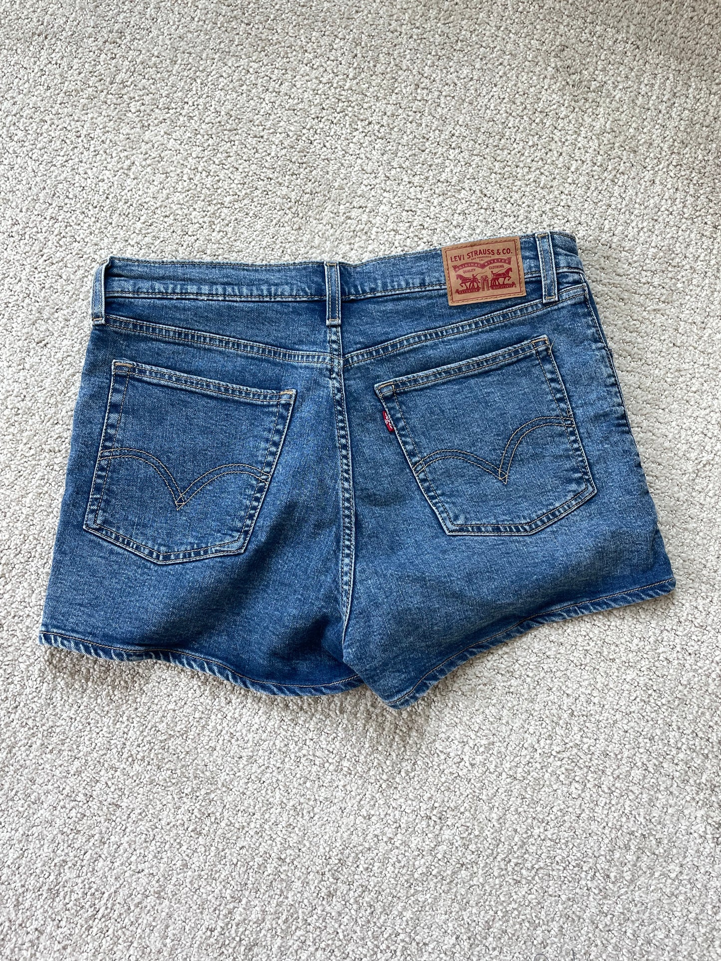 Levi's Denim Shorts (31)