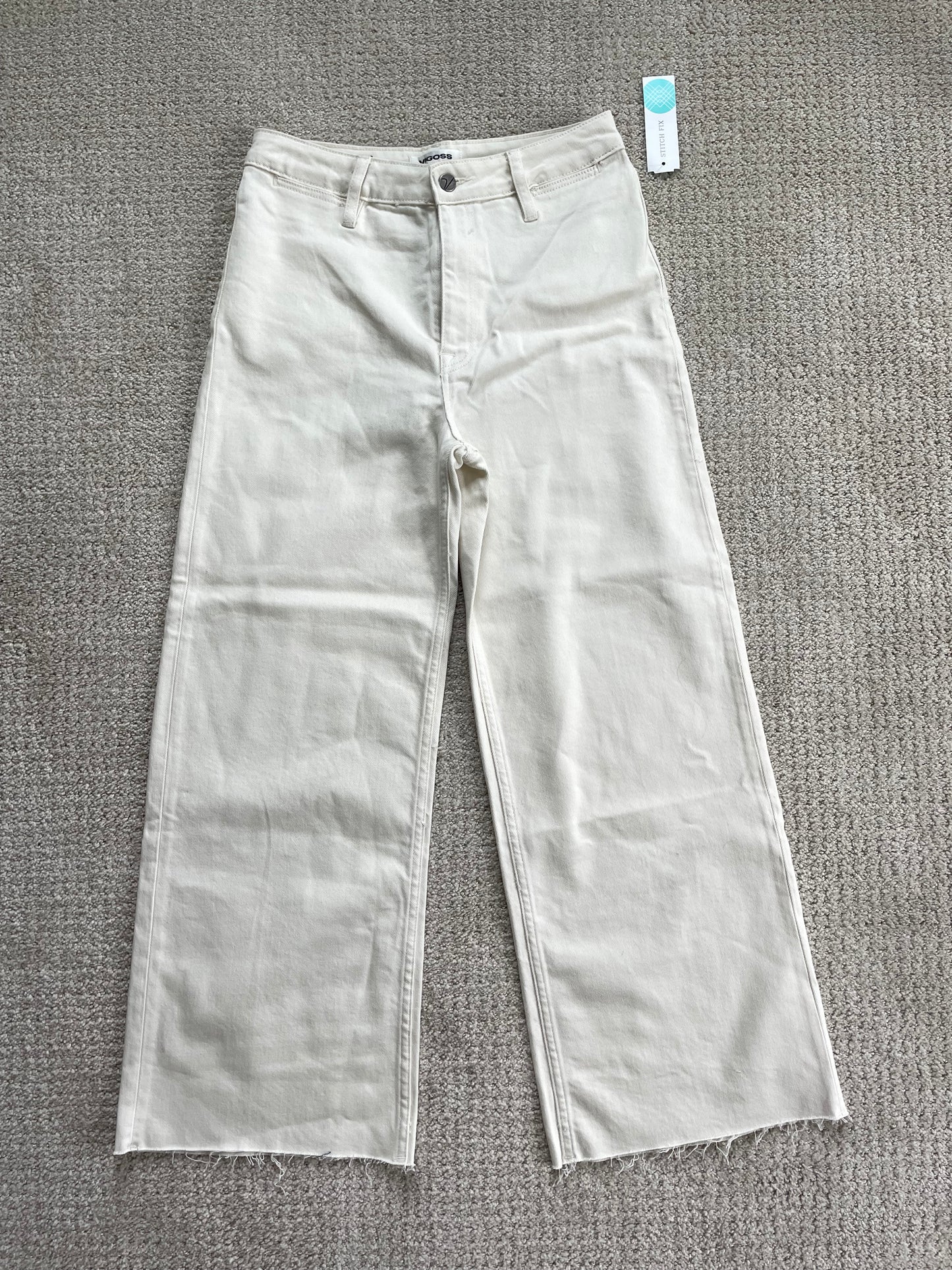 NWT Vigoss Wide Leg Jeans (27)